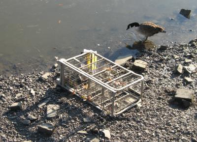 Industrial size trolley dumped in river.