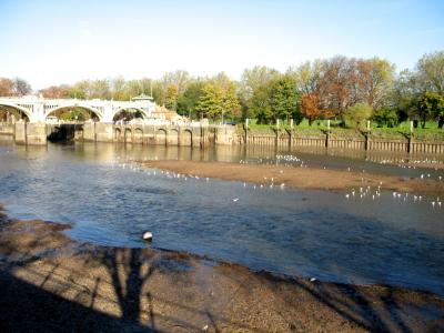 Super low tide.