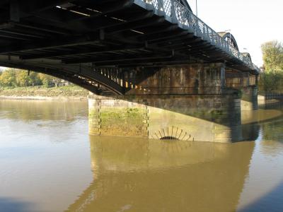 View from towpath on Surrey side.