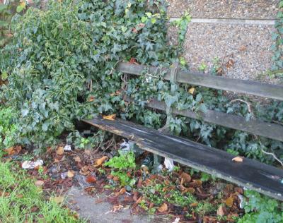 Public seat on towpath. Needs a teeny bit of maintenance.
