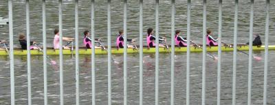 Wear pink clothes, stay behind bars.