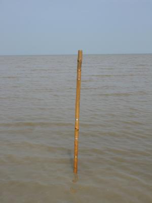 One mile off shore.