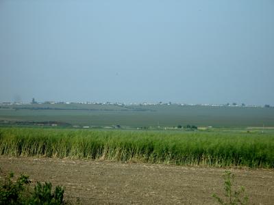 Looking towards Eastchurch from the road.