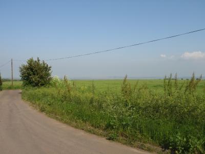 Fields beside the road.