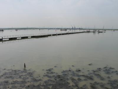 Floating pier at Crundells wharf.