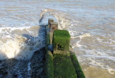 Breakwater/groyne.