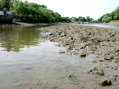 Looking downriver .