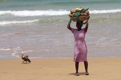 Busua beach