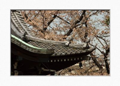 Ueno Park
