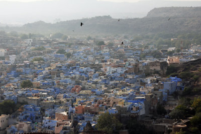 blue city of Jodhpur
