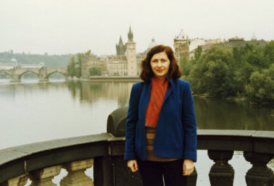 Bridges on the Vltava