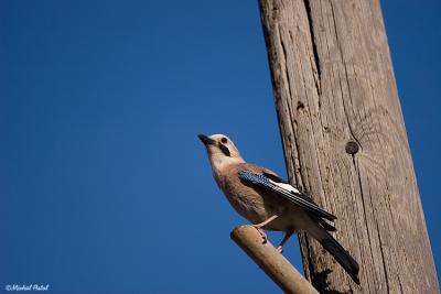IMG_7788.jpg