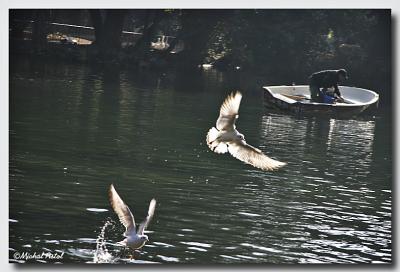 IMG_5688 .jpg
