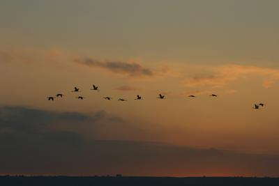 IMG_2786 .jpg