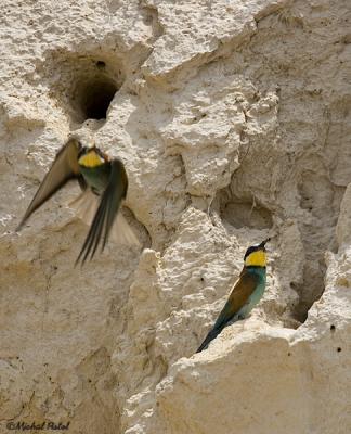 IMG_9174.jpg