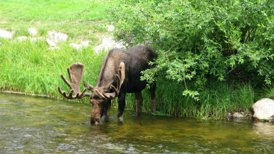 IMG_3131 - Grand Lake.jpg