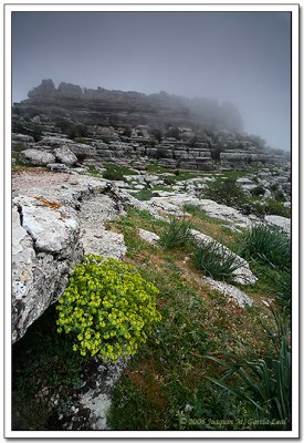 Paisaje de Montaa - Mountain Landscape