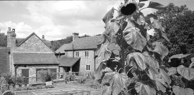 Ironbridge