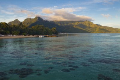 Early Morning on Moorea