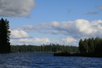 Vista