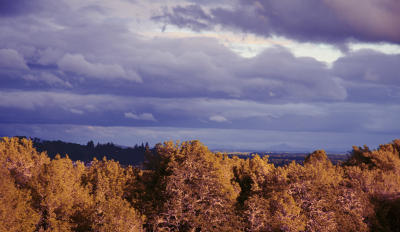 sunset_in_the_willamette_valley