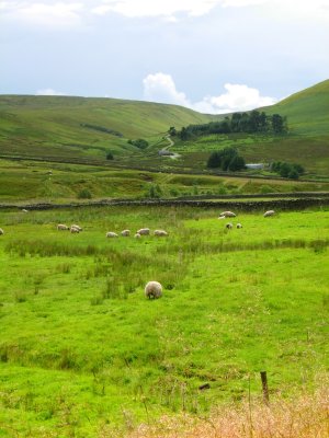 Lanarkshire, Scotland