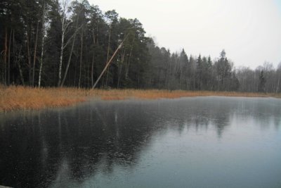 Krzywe Lake