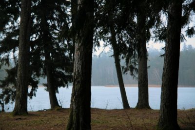 Krzywe Lake
