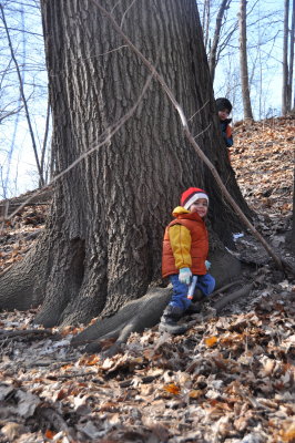 2 boys by a big oak tree