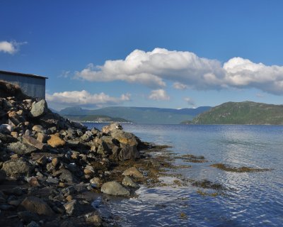 Low Tide Woody Point.jpg