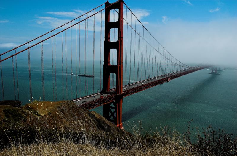 Marin View