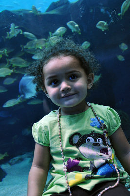 20110415 / aquarium