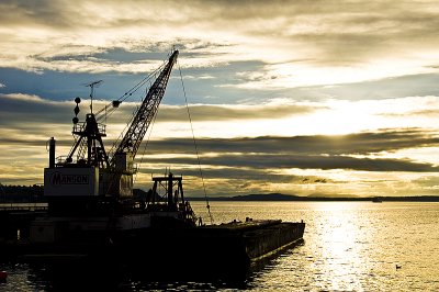 20110922 B / crane