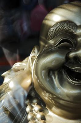 Buddha Under Glass or Devil In The Details XVI
