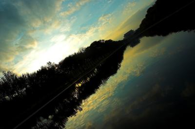 The Long View
