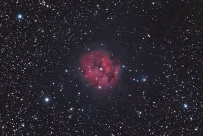 IC5146 Cocoon Nebula crop