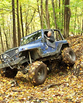 leaves on the tires