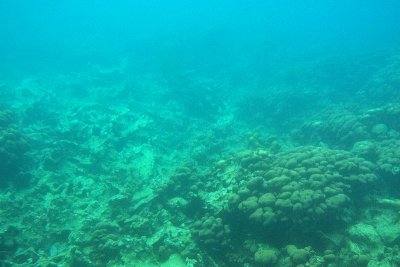 g4/50/744950/3/133201277.xA2WZ6ZI.jpg