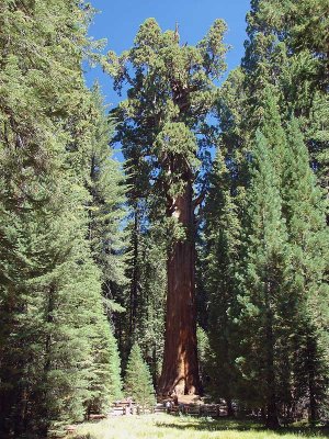 GeneralSherman.jpg
