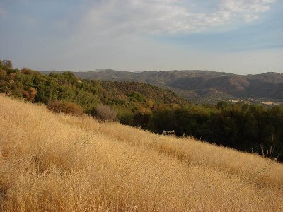 hills.jpg