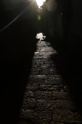 JD2J1106_adj2.JPG