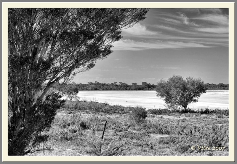 Pink Lake VI Monochrome