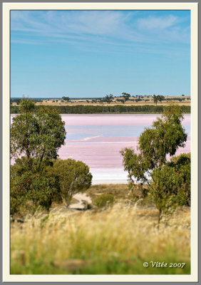 Pink Lake IV
