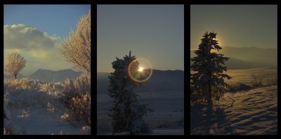 Colorado Winter Triptych.jpg