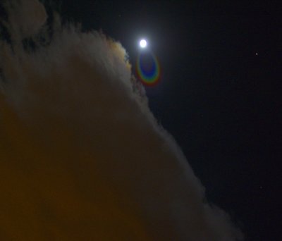 DSC_0034cr.jpg