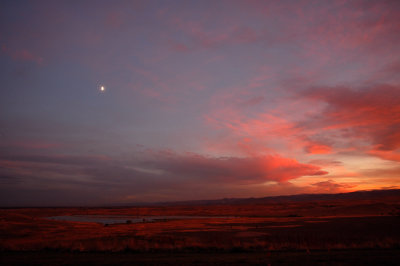 DSC_0186.JPG