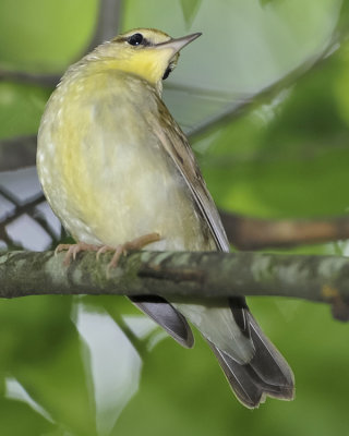g4/50/820250/3/135070573.T1ZL5NfX.jpg