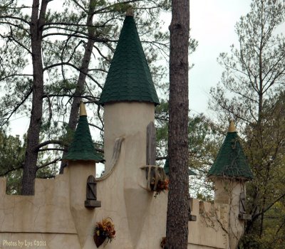 Nov 19 2011 04.jpg