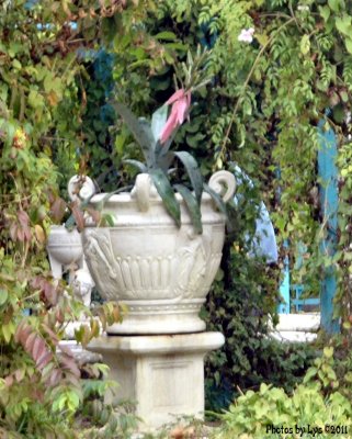 Nov 19 2011 12.jpg