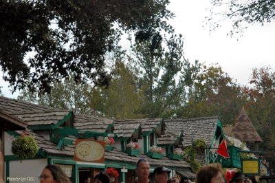 Nov 19 2011 20.jpg